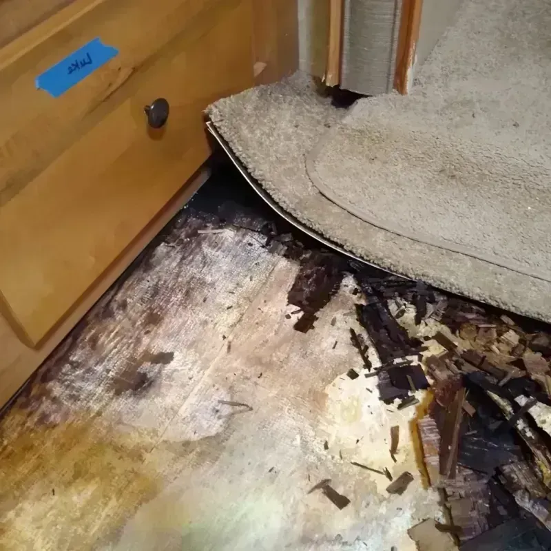 Wood Floor Water Damage in Winneconne, WI